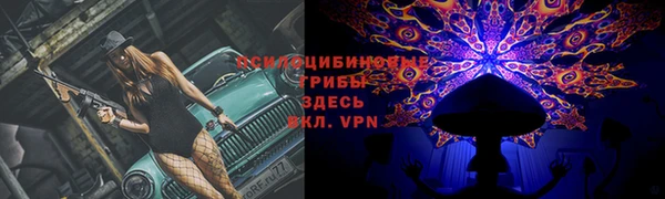 трава Арсеньев