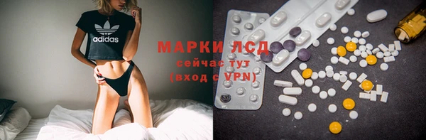 крисы Армянск