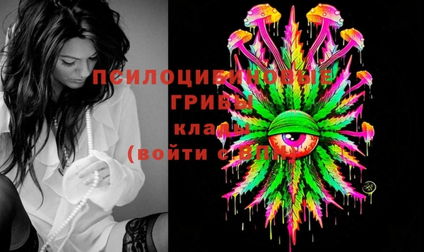 крисы Армянск