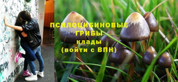 крисы Армянск