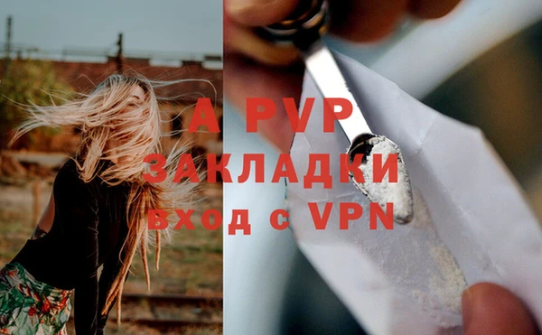 крисы Армянск
