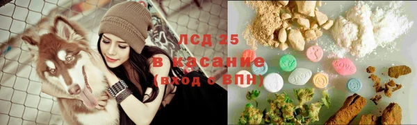 трава Арсеньев