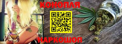 сатива Моздок