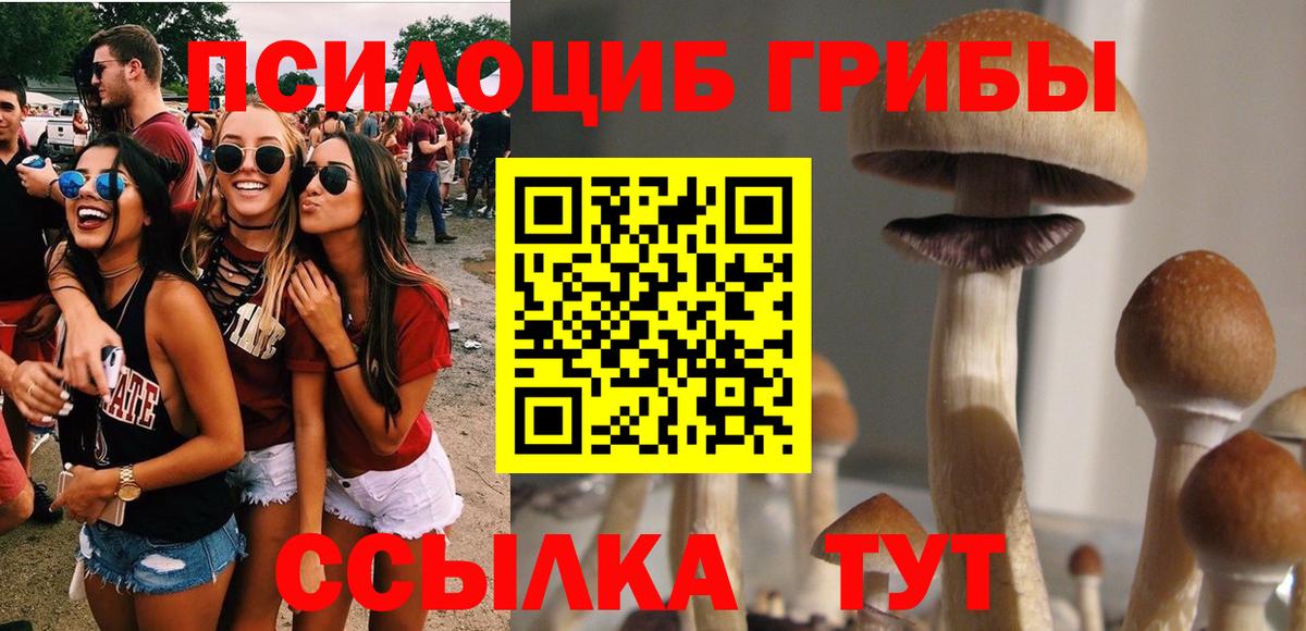 Псилоцибиновые грибы MAGIC MUSHROOMS Волгоград