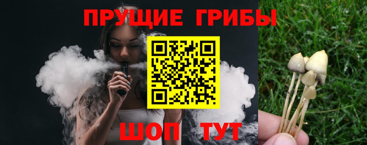Галлюциногенные грибы ЛСД  Галлюциногенные грибы Magic Shrooms  Вход с VPN  Волгоград 