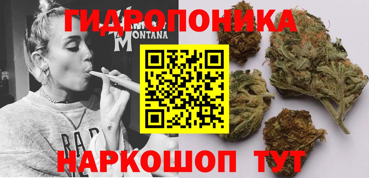 Конопля план  Вход с VPN  Марихуана семена  Волгоград 